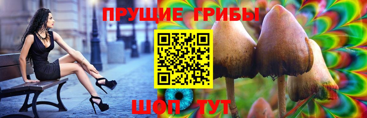 Ростов Великий  как найти   Вход с VPN  Галлюциногенные грибы прущие грибы 